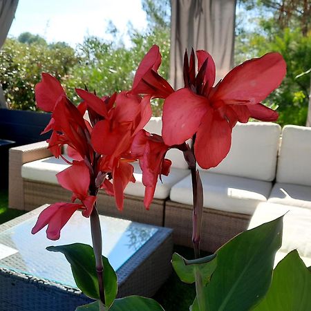 L Olivadou B&B ตรองส์-ออง-โปรวองซ์ ภายนอก รูปภาพ