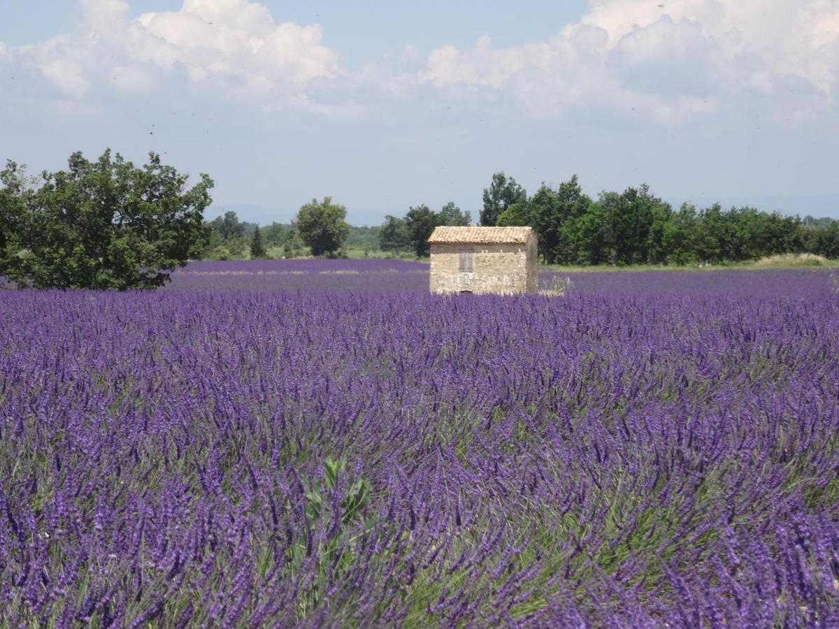L Olivadou B&B ตรองส์-ออง-โปรวองซ์ ภายนอก รูปภาพ