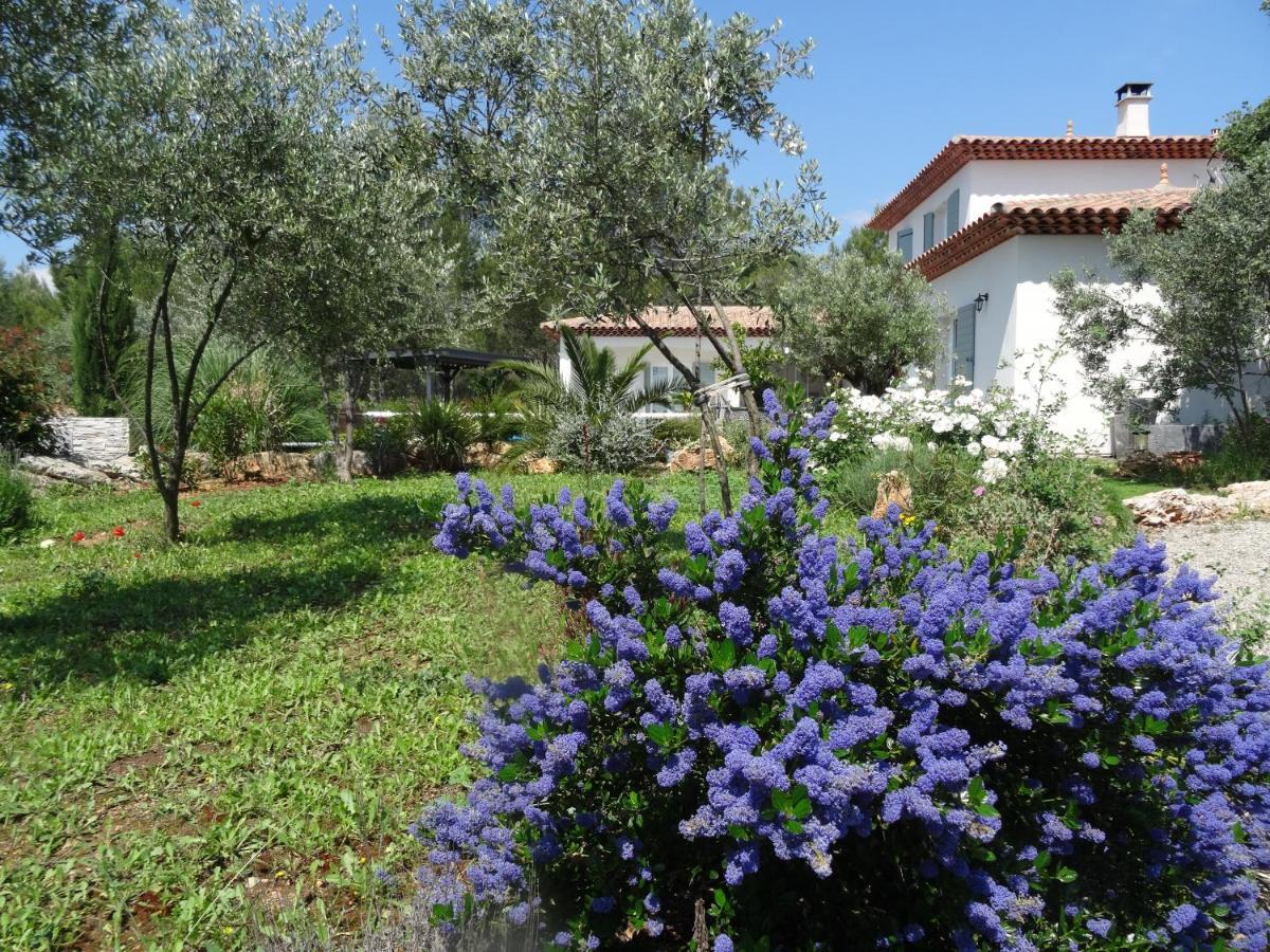 L Olivadou B&B ตรองส์-ออง-โปรวองซ์ ภายนอก รูปภาพ