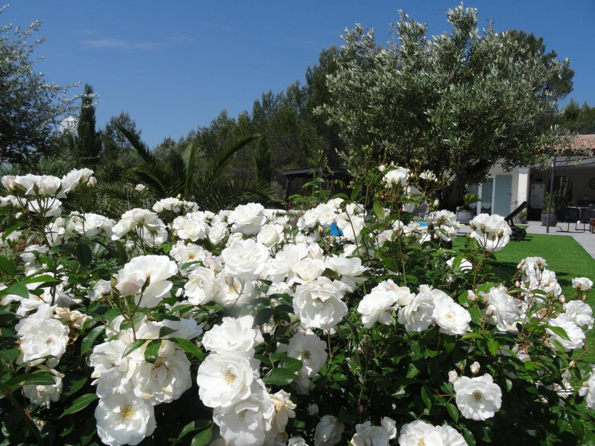 L Olivadou B&B ตรองส์-ออง-โปรวองซ์ ภายนอก รูปภาพ