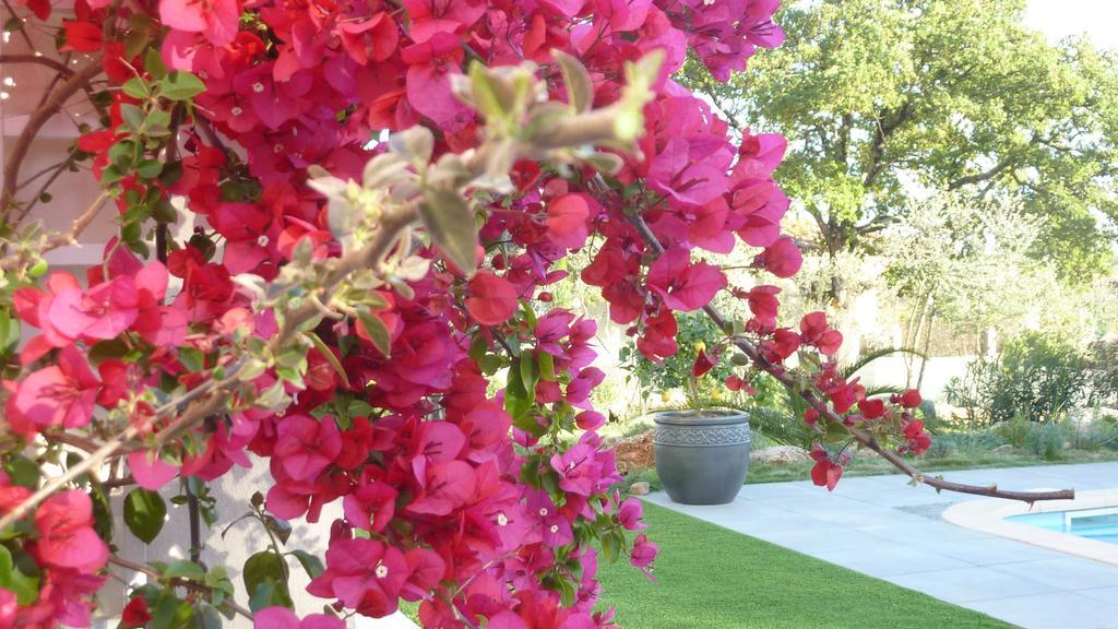L Olivadou B&B ตรองส์-ออง-โปรวองซ์ ภายนอก รูปภาพ